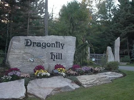Engraved Dragonfly Hill entrance sign in natural stone with surrounding planting